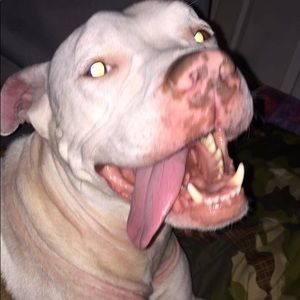 Meet your Posher, Serena